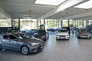 Innenansicht eines Mercedes-Benz-Autohauses mit hellen, großen Fenstern. Mehrere neue Mercedes-Modelle in Grau, Weiß und Schwarz stehen ausgestellt auf einem gefliesten Boden. Im Hintergrund sind Bäume und parkende Autos draußen zu sehen.