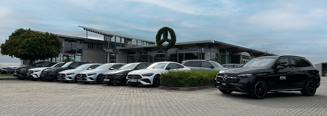 Mercedes-Benz Autohaus in Bernburg mit moderner Glasfront, davor ein Baum in Form des Mercedes-Logos gestutzt, mehrere schwarze und wei&szlig;e Mercedes-Fahrzeuge davor geparkt.