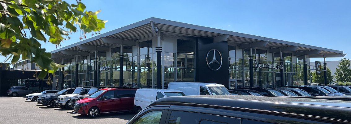 Moderne Glasfassade des Autohauses Peter in Dessau-Ro&szlig;lau mit gro&szlig;em Mercedes-Benz-Logo an der Front. Vor dem Geb&auml;ude stehen mehrere Mercedes-Benz Fahrzeuge in einer Reihe. Im Vordergrund ein Baum mit gr&uuml;nen Bl&auml;ttern.