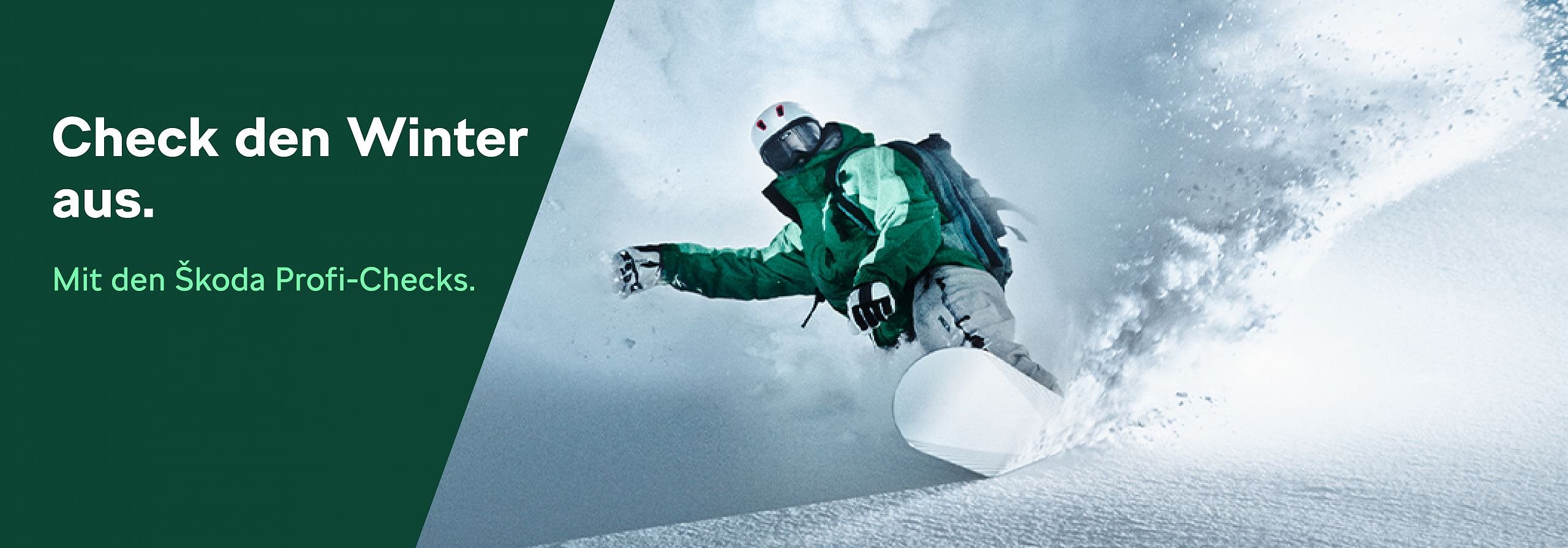 Bild im Carousel Check den Winter aus. Mit den koda Profi Checks.
