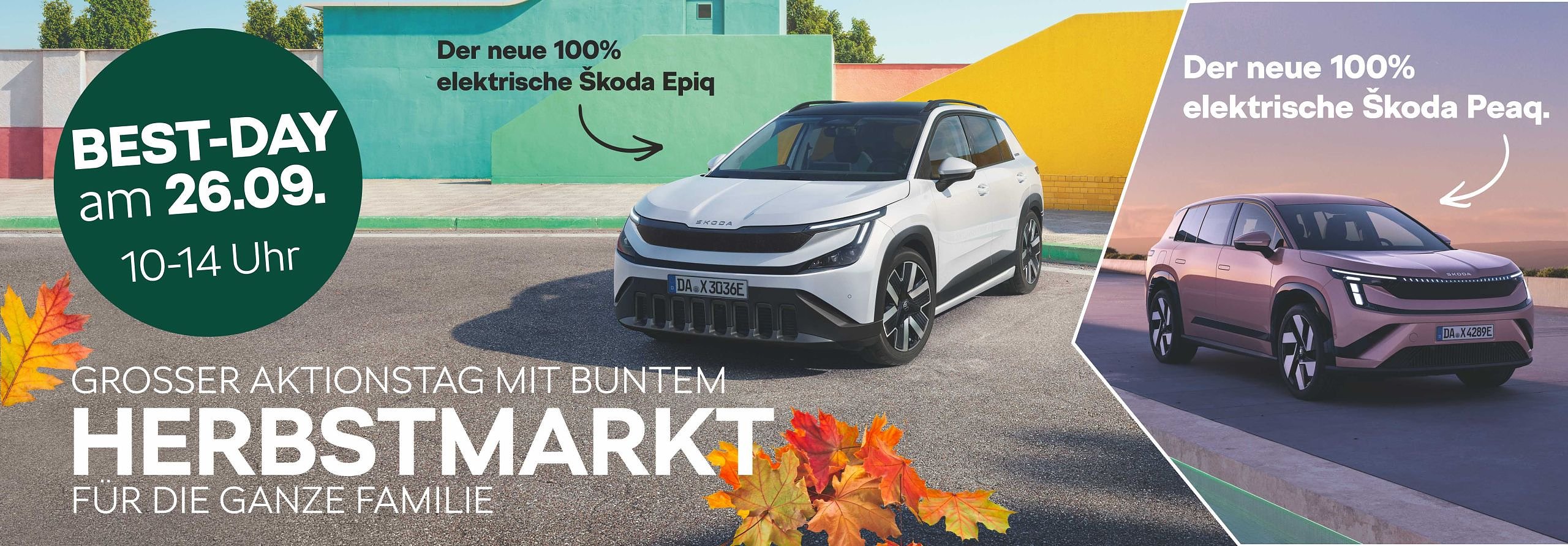 Bild im Carousel 