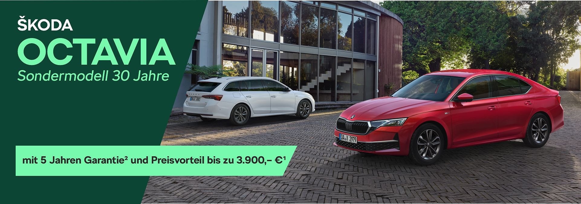 Bild im Carousel 