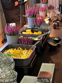 Eine weitere Nahaufnahme von der vielfältigen Auswahl am luxuriösen Buffet.