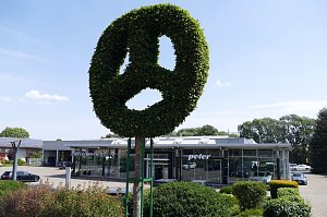 Mercedes-Benz-Niederlassung in Duderstadt, modernes Autohaus mit gro&szlig;er Glasfassade und Peter-Schriftzug, davor ein gro&szlig;er Strauch in Form des Mercedes-Sterns, gepflegte Gr&uuml;nanlagen und mehrere geparkte Fahrzeuge sichtbar.