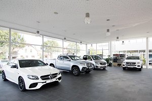Innenansicht eines hellen Mercedes-Benz Autohauses mit großen Fensterfronten; im Showroom stehen mehrere neue Fahrzeuge, darunter weiße und silberne Mercedes-Modelle (Limousinen, Pick-up und Van) auf dunklem Fliesenboden.