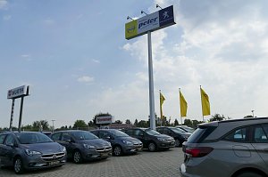 Autohaus-Au&szlig;enbereich mit mehreren grauen Opel-Fahrzeugen in einer Reihe geparkt. Im Hintergrund ein hoher Mast mit einem Schild Autohaus Peter Gruppe und Peugeot-Logo sowie gelbe Fahnen mit Opel-Logo. 