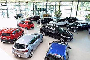 Innenansicht des modernen Opel-Autohauses Peter in Nordhausen. Zu sehen ist eine gro&szlig;e, helle Ausstellungshalle mit vielen Neuwagen in verschiedenen Farben und Modellen, darunter rote, schwarze, wei&szlig;e und blaue Fahrzeuge. Die Halle hat eine Glasfassade mit viel Tageslicht, einige gr&uuml;ne Pflanzen und einen Empfangsbereich im Hintergrund.