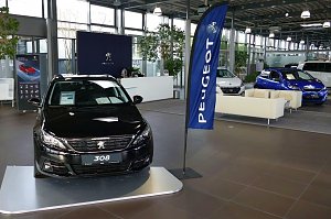Peugeot-Autohaus-Showroom mit einem schwarzen Peugeot 308 im Vordergrund, blauer Peugeot-Fahne daneben, mehreren weiteren Fahrzeugen und einer modernen Wartebereich-Lounge im Hintergrund.