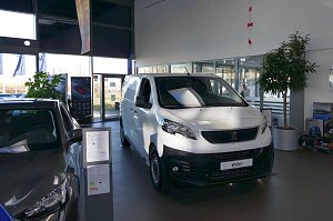 Heller Innenraum eines Autohauses mit einem wei&szlig;en Peugeot-Transporter in der Ausstellung, grauem Pkw links, gro&szlig;en Fenstern, Pflanze im Topf und Verkaufsraum im Hintergrund.