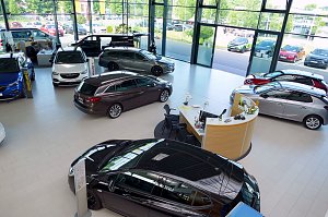 Gro&szlig;z&uuml;giger, heller Showroom des Opel-Autohauses mit gro&szlig;en Glasfronten. Mehrere Opel-Modelle in unterschiedlichen Farben sind ausgestellt. In der Mitte befindet sich ein moderner Empfangstresen mit St&uuml;hlen und Blumen. Drau&szlig;en sind weitere Fahrzeuge und gr&uuml;ne B&auml;ume sichtbar.