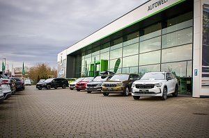 Reihe von neuen Škoda-Fahrzeugen vor der Glasfassade des Autohauses. Verschiedene Modelle sind aufgereiht.