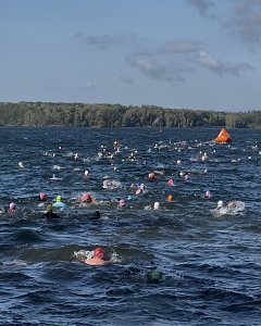 Zahlreiche Triathleten schwimmen mit bunten Badekappen im welligen Wasser des Bergwitzsees. Im Hintergrund ist eine orangefarbene Boje zu sehen. Am Horizont erstreckt sich eine gr&uuml;ne Uferlinie.