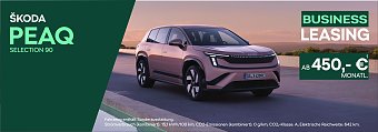 �koda Peaq (�koda Auto Deutschland GmbH)