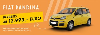 Fiat Pandina (Fiat Deutschland GmbH)