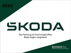 Skoda KAMIQ TSI DSG MONTE CARLO   MATRIX NAV KAMERA  